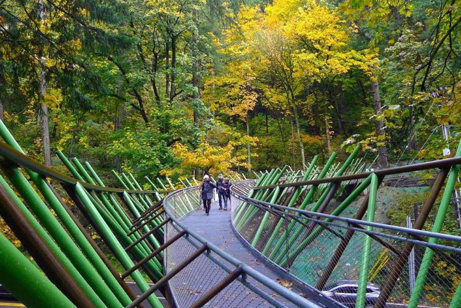 Curved Steel Trail Bridge at Barbara Walker Crossing on the Wildwood Trail